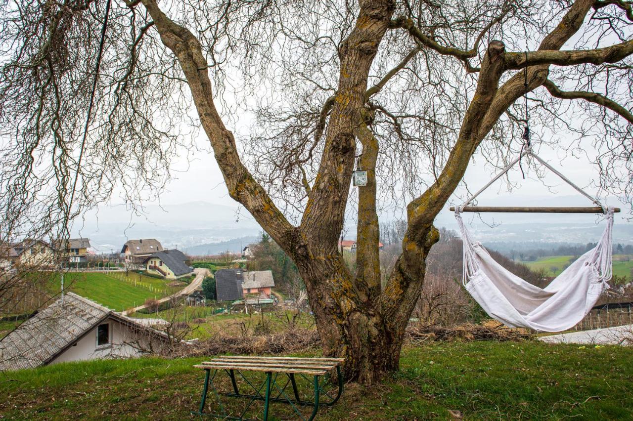 Vineyard Cottage Klemencic Novo Mesto Exterior foto
